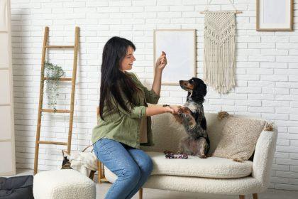 Šunų dresuotojas įvardijo vieną žodį, kurio niekada negalima sakyti šuniukui