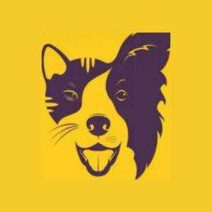 Šuo ar katė? Vienas žvilgsnis į paveikslą gali atskleisti daugiau, nei norėtum pripažinti