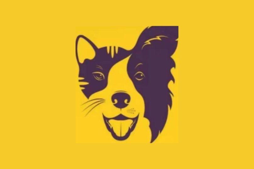 Šuo ar katė? Vienas žvilgsnis į paveikslą gali atskleisti daugiau, nei norėtum pripažinti