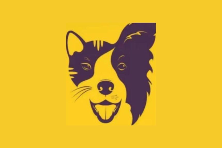 Šuo ar katė? Vienas žvilgsnis į paveikslą gali atskleisti daugiau, nei norėtum pripažinti