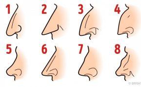 Sužinokite, ką gali pasakyti apie jus, jūsų nosies forma