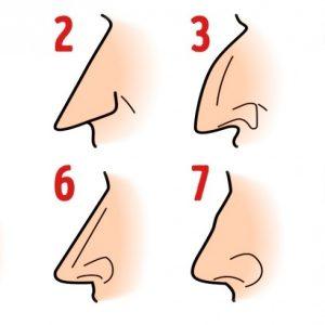 Sužinokite, ką gali pasakyti apie jus, jūsų nosies forma