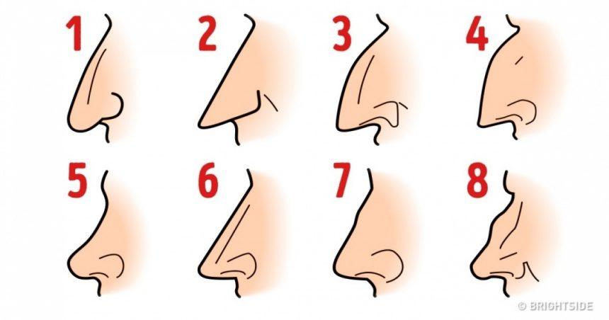 Sužinokite, ką gali pasakyti apie jus, jūsų nosies forma