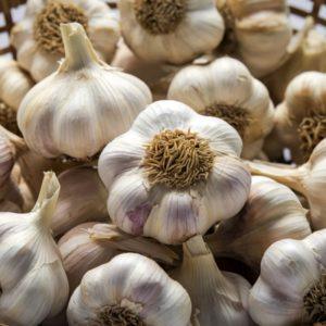 Šviežias česnakas tiesiai iš vazonėlio: sužinokite, kaip užauginti šį augalą namuose ir visada turėkite jo po ranka!