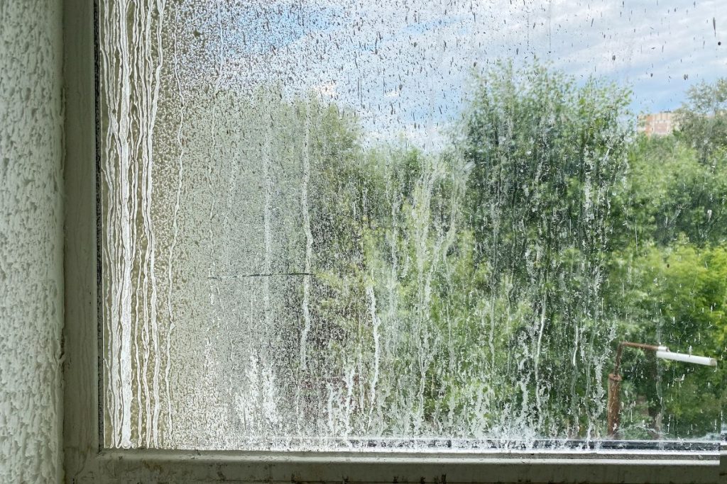 Tai blogiausias metas plauti langus: dryžiai ant stiklo garantuoti. Labai nešvarūs langai ir atsargumas