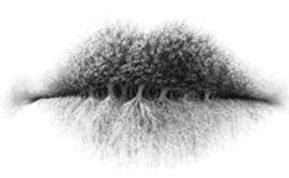 Testas: ką pamatysite paveikslėlyje, pasakys apie jus geriau nei bet kuris psichologas