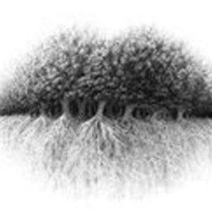 Testas: ką pamatysite paveikslėlyje, pasakys apie jus geriau nei bet kuris psichologas