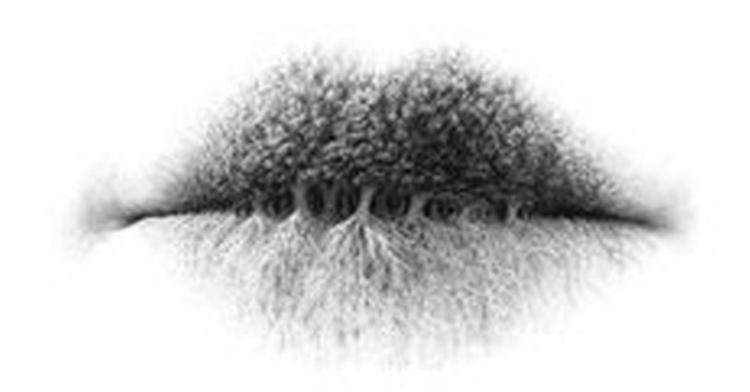 Testas: ką pamatysite paveikslėlyje, pasakys apie jus geriau nei bet kuris psichologas