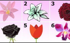 Testas: pasirinkite gražiausią gėlę ir sužinosite apie savo charakterį