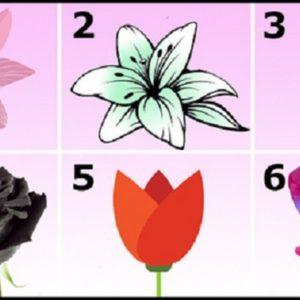 Testas: pasirinkite gražiausią gėlę ir sužinosite apie savo charakterį