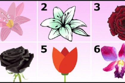 Testas: pasirinkite gražiausią gėlę ir sužinosite apie savo charakterį