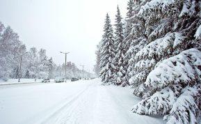 Testas: pasirinkite kortelę ir sužinokite, kas jūsų laukia šią žiemą