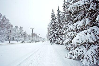 Testas: pasirinkite kortelę ir sužinokite, kas jūsų laukia šią žiemą