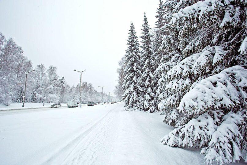 Testas: pasirinkite kortelę ir sužinokite, kas jūsų laukia šią žiemą