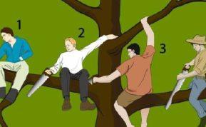 Testas: pasirinkite žmogų ant medžio - ir mes pasakysime apie jus kai ką svarbaus