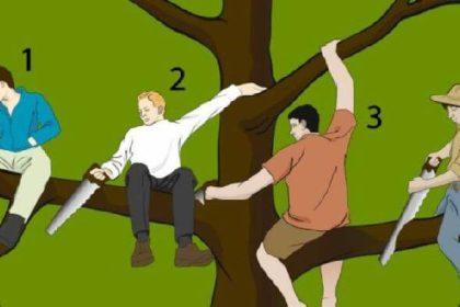 Testas: pasirinkite žmogų ant medžio - ir mes pasakysime apie jus kai ką svarbaus