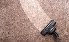 Tiesiog išpurkškite ir išsiurbkite, ir ant kilimo neliks jokių plaukų!