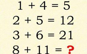 Tik žmonės, turintys labai aukštus IQ, gali išspręsti šį matematikos testą!