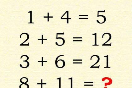 Tik žmonės, turintys labai aukštus IQ, gali išspręsti šį matematikos testą!