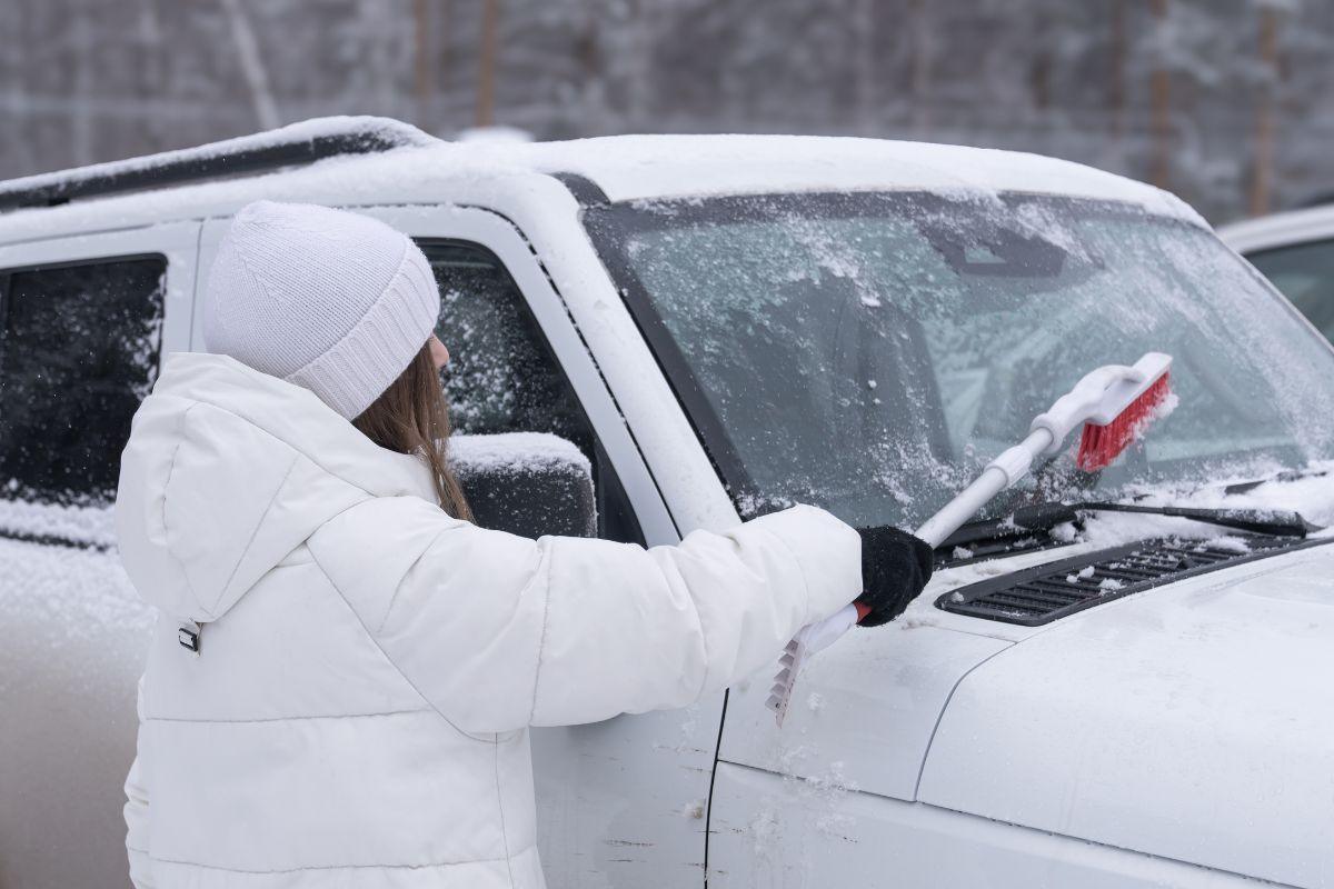Užsegamas maišelis akimirksniu pašalins šerkšną nuo automobilio stiklo!