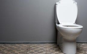Užsikimšusį klozetą atkimšite be vargo: jums prireiks vienos paprastos priemonės
