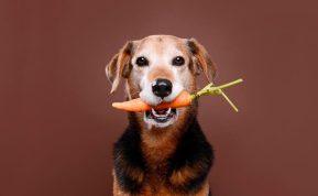 Vakarienė jums reikalinga: Gydytojai nurodė 10 maisto produktų, kurie turėtų būti valgomi prieš naktį.