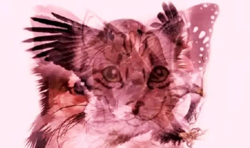 Vizualinis pasąmonės testas