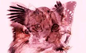 Vizualinis pasąmonės testas