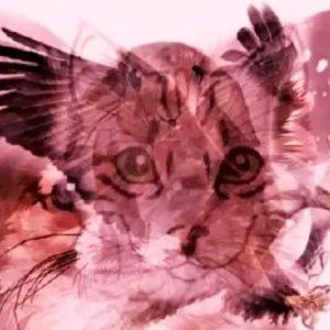 Vizualinis pasąmonės testas