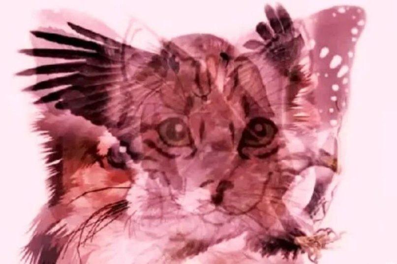 Vizualinis pasąmonės testas