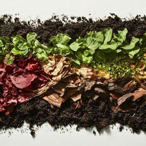 Žiemos kompostas, atyvus net per šalčius. Jei to nepadarysite dabar – pavasarį gailėsitės