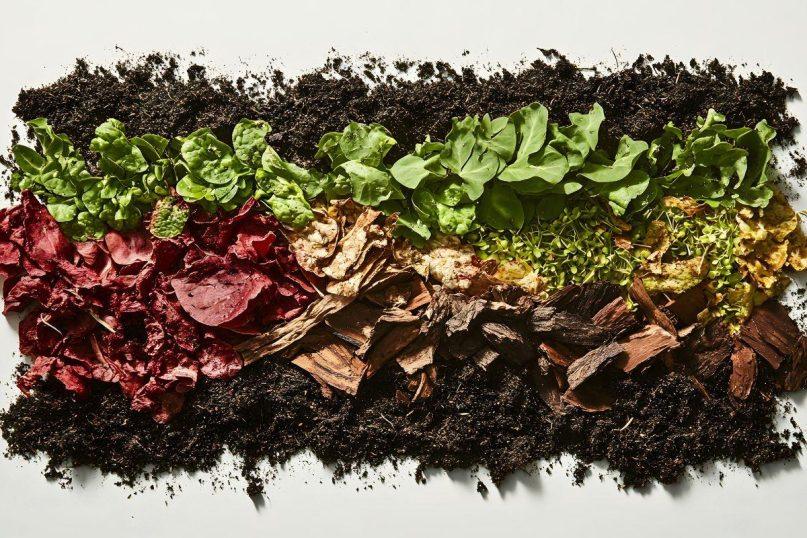 Žiemos kompostas, atyvus net per šalčius. Jei to nepadarysite dabar – pavasarį gailėsitės