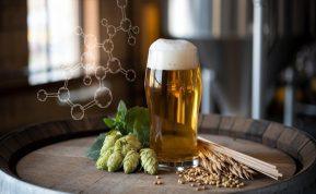Alaus antioksidantai – kaip šis gėrimas gali padėti kovoti su senėjimu