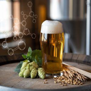Alaus antioksidantai – kaip šis gėrimas gali padėti kovoti su senėjimu