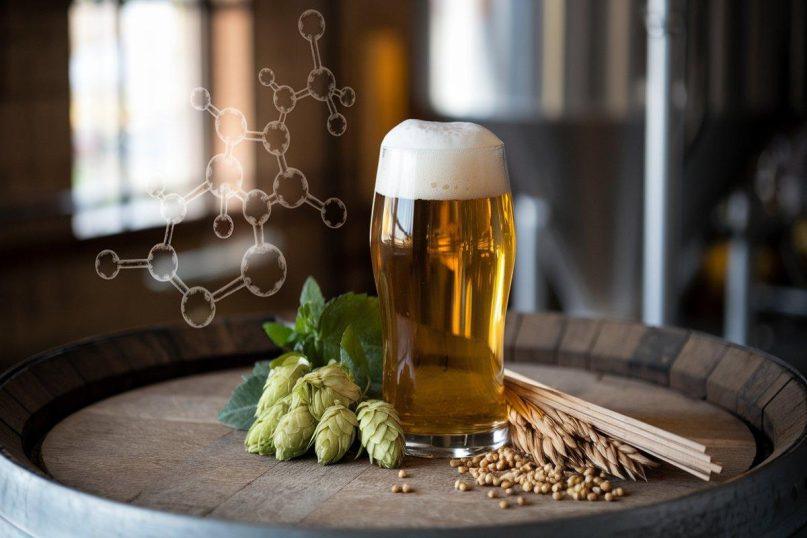 Alaus antioksidantai – kaip šis gėrimas gali padėti kovoti su senėjimu