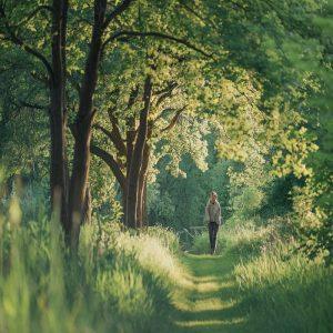 Kodėl 20 minučių pasivaikščiojimas gamtoje naudingesnė smegenims nei bet koks sportas salėje