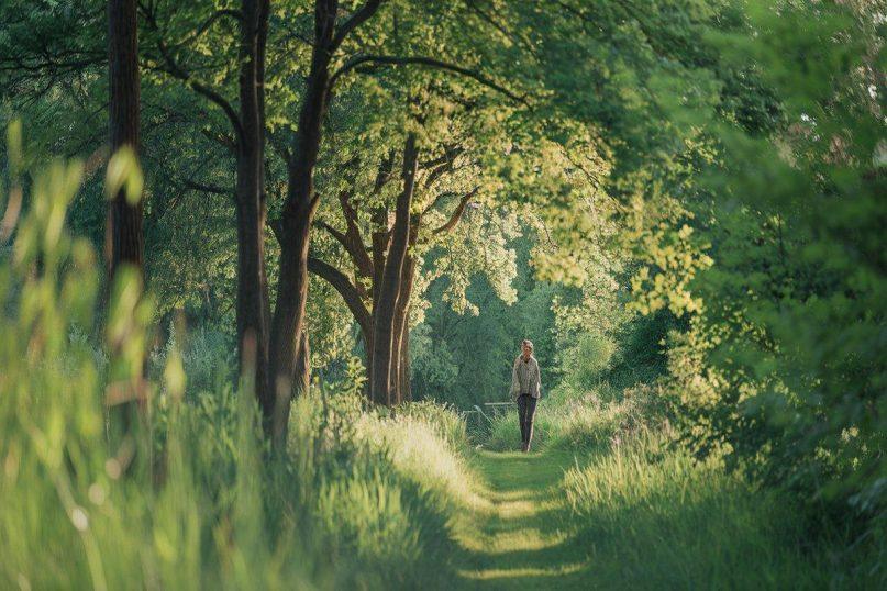 Kodėl 20 minučių pasivaikščiojimas gamtoje naudingesnė smegenims nei bet koks sportas salėje