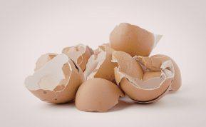 Daugiau niekada nebeišmeskite kiaušinių lukštų: jie yra daug vertingesni nei manėte