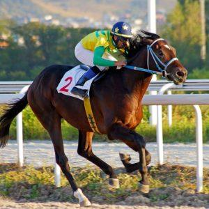 Judėjimas jų kraujyje: geriausi sportininkai pagal Zodiako ženklą