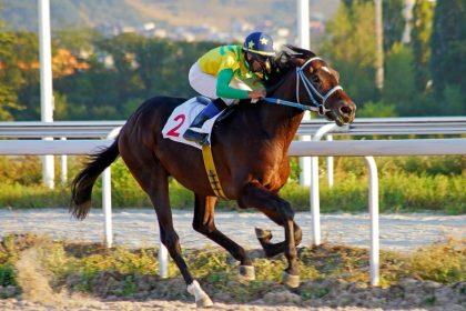 Judėjimas jų kraujyje: geriausi sportininkai pagal Zodiako ženklą