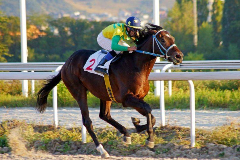 Judėjimas jų kraujyje: geriausi sportininkai pagal Zodiako ženklą