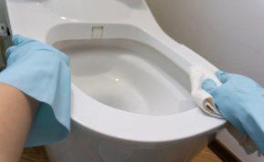 Jūsų tualetas spindės tarsi naujas! Itin veiksmingas valiklis, kurį galite lengvai pasigaminti patys! 