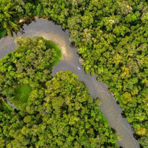 Klimato pokyčiai pasiekė lūžio tašką: formuojasi sąlygos, kurių nebuvo 10 mln. metų