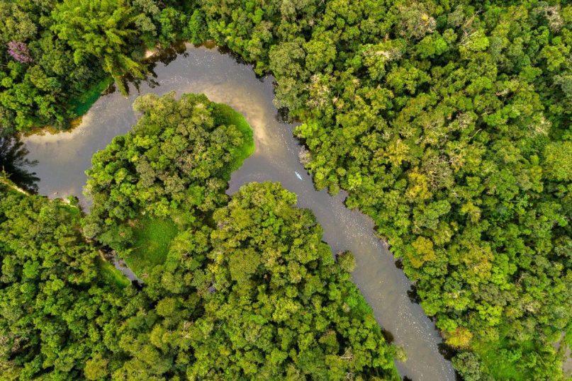 Klimato pokyčiai pasiekė lūžio tašką: formuojasi sąlygos, kurių nebuvo 10 mln. metų