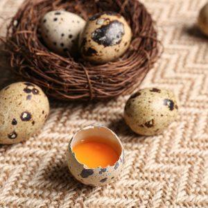 Kodėl putpelių kiaušiniai yra pavojingi ir kas neturėtų jų valgyti?