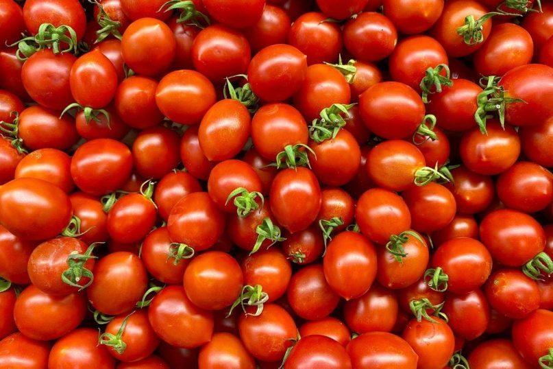 Mano močiutė sumaišo 3 ingredientus ir jais patręšia pomidorus: daržoves ji renka krepšiais!