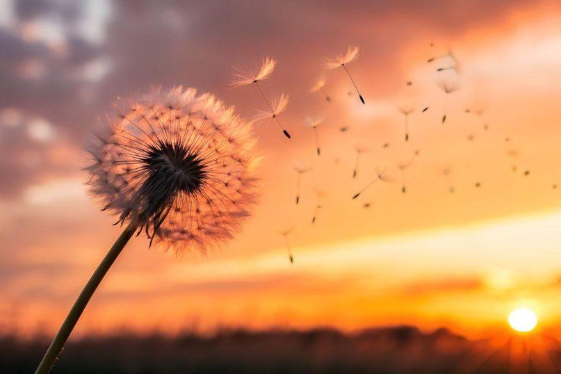 Mokslas pagaliau paaiškino, kodėl saulėtekiai ir saulėlydžiai taip stipriai veikia mūsų nuotaiką