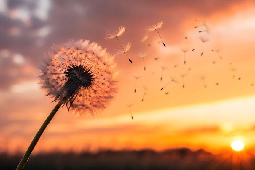 Mokslas pagaliau paaiškino, kodėl saulėtekiai ir saulėlydžiai taip stipriai veikia mūsų nuotaiką