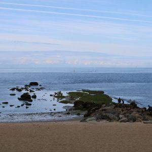 Mokslininkai negalėjo patikėti savo akimis: toks įvykis atsitiko pirmą kartą isorijoje. Britų kolumbijos krantai