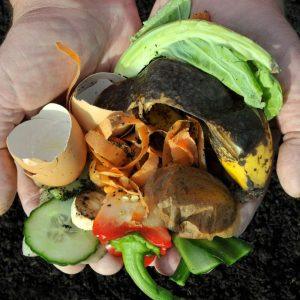 Natūralios trąšos jūsų augalams: kokie maisto produktai tinka daržui tręšti?